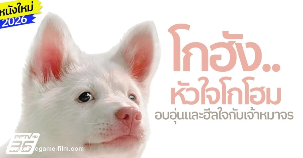 โกฮังหัวใจโกโฮม